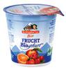 Berchtesgadener Land Frucht-Bioghurt Erdbeere, Naturland Berchtesgadener Land Frucht-Bioghurt Erdbeere, Naturland