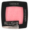 Catrice Blush Box, 040 Berry Catrice Blush Box, 040 Berry