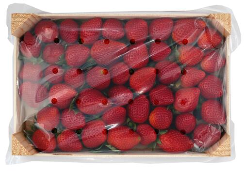 Erdbeeren, Spanien, Klasse 1