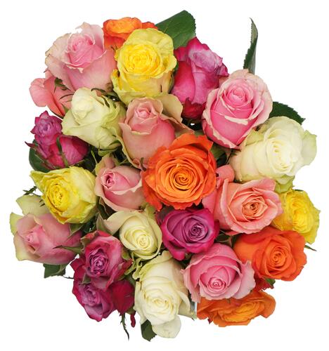 Fleurop Rosenstrauß Colorful Roses