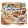 Fontana Chocolate-Hazelnut & Cream, Milchdessert