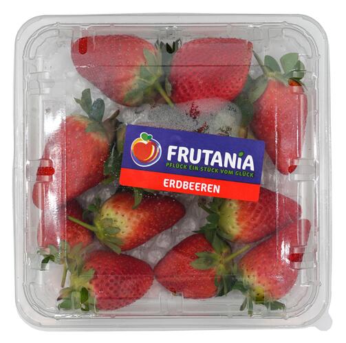 Frutania Erdbeeren, Ägypten, Klasse 1