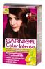 Garnier Color Intense