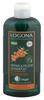 Logona Repair & Pflege Shampoo Bio-Sanddorn Logona Repair & Pflege Shampoo Bio-Sanddorn