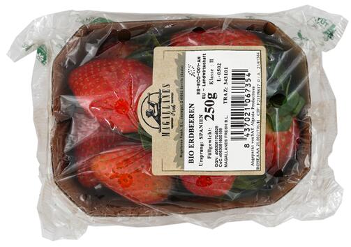 Magallanes Fresh Bio Erdbeeren, Spanien, Klasse 2
