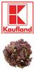 Marktfrisch aus Deutschland Eichblatt rot
