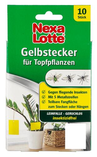 Nexa Lotte Gelbstecker für Topfpflanzen