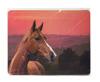 Paper-Concepts Mousepad "Pferde", Art. 91554