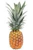 Pina Rica Golden Pineapple, Ananas