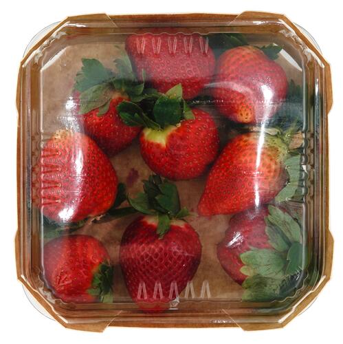 Rewe Beste Wahl Erdbeeren Calinda, Spanien, Klasse 1