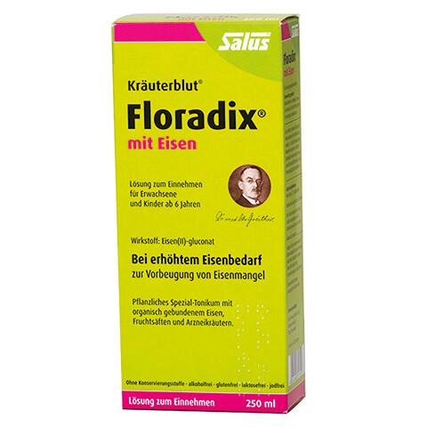 Salus Kräuterblut Floradix mit Eisen, Lösung