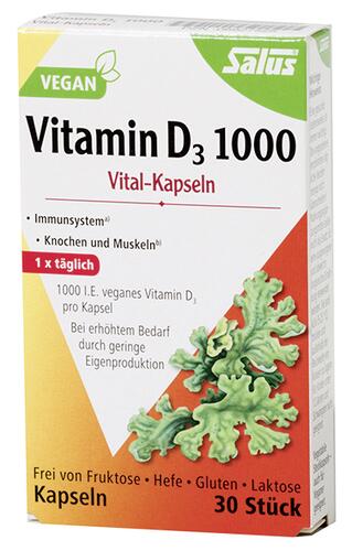 Salus Vitamin D3 1000 Vital-Kapseln