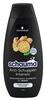 Schwarzkopf Schauma Anti-Schuppen Intenstiv Shampoo Schwarzkopf Schauma Anti-Schuppen Intenstiv Shampoo