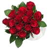 Valentins Fairtrade Rosen, rot Valentins Fairtrade Rosen, rot