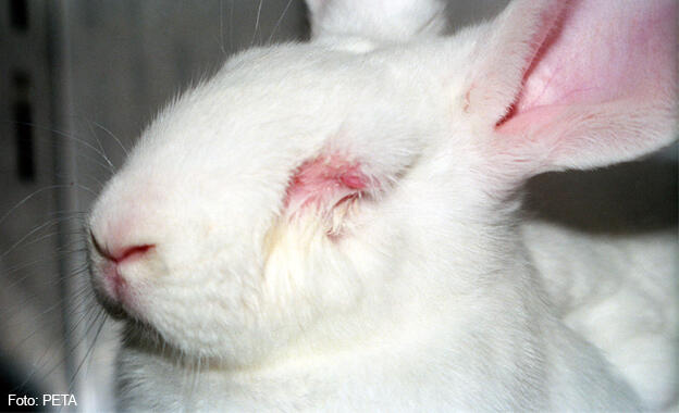 Tierschutz Tierschutz