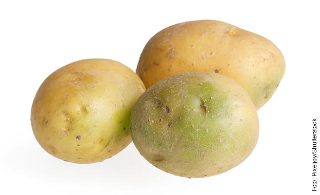 Kartoffelvergiftung Kartoffelvergiftung