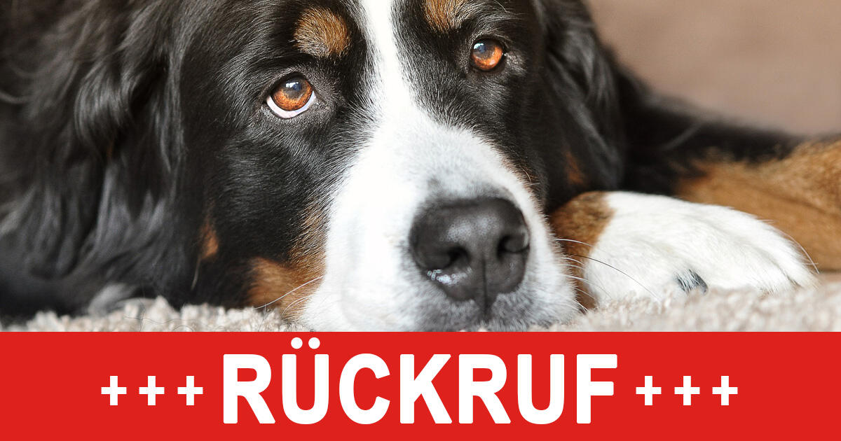 Rückruf Hundefutter: in Hundesnacks von Fressnapf - ÖKO-TEST