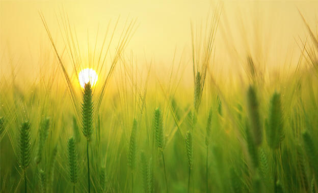 Reaktionen: Valorsol Solarfonds Reaktionen: Valorsol Solarfonds