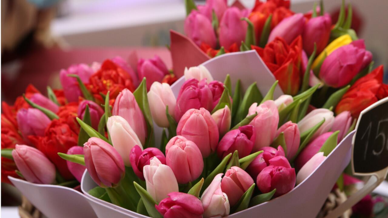 7 Tipps: So blühen Tulpen in der Vase möglichst lange