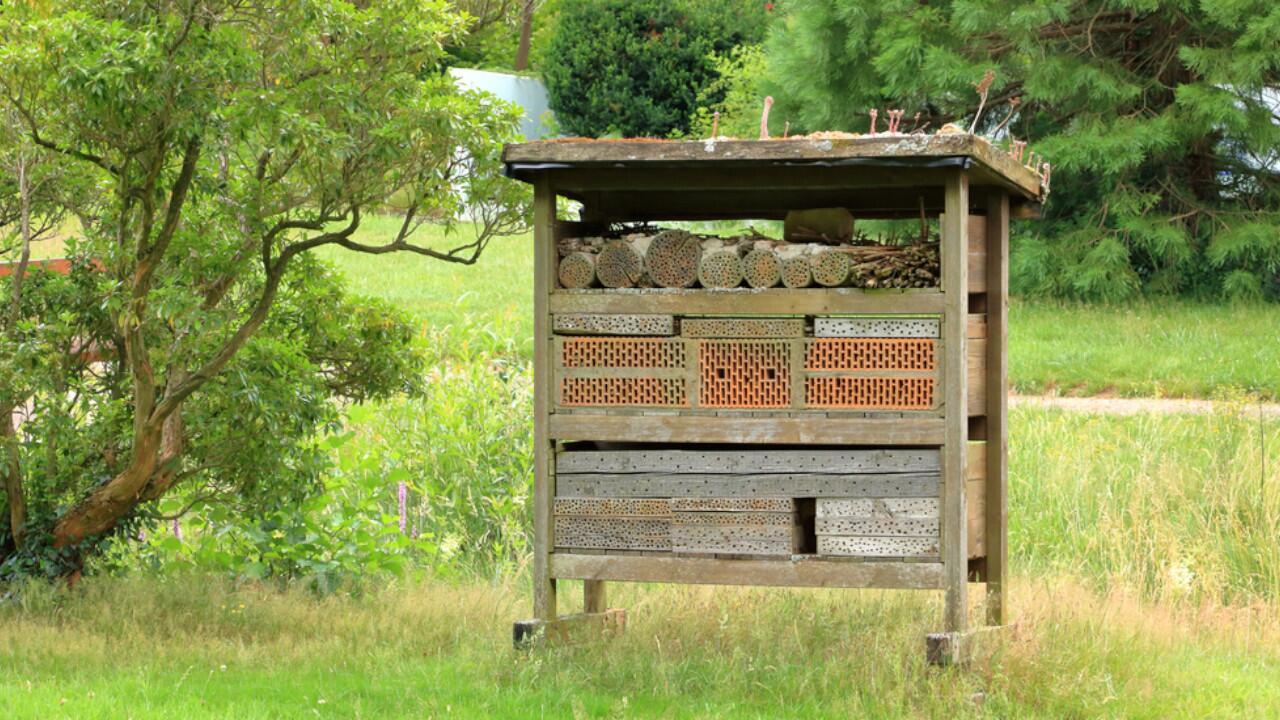 Insektenhotel bauen: Nisthilfe für Wildbienen, Florfliegen und Co.