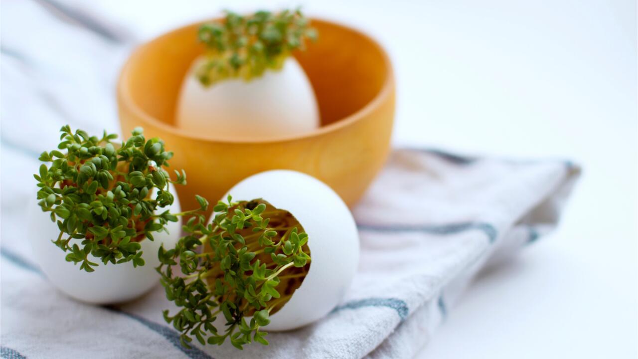 8 Recycling-Tipps für Eierschalen: Kennen Sie schon alle?