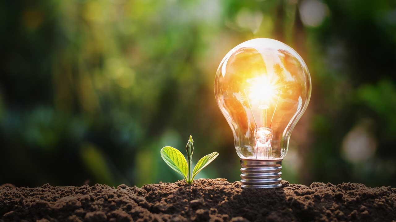 Strom sparen im Garten: Tipps und Tricks
