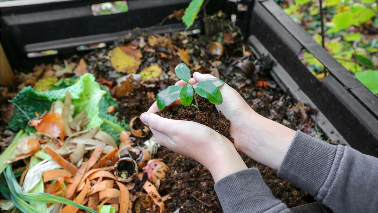 Kompost anlegen: Worauf Sie beim Kompostieren achten sollten