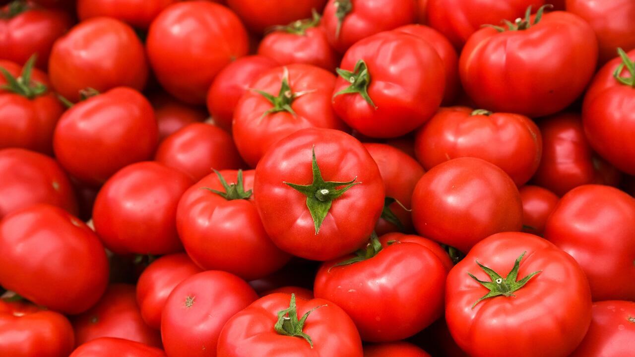Tomaten lagern: Dürfen Tomaten in den Kühlschrank – oder besser nicht?