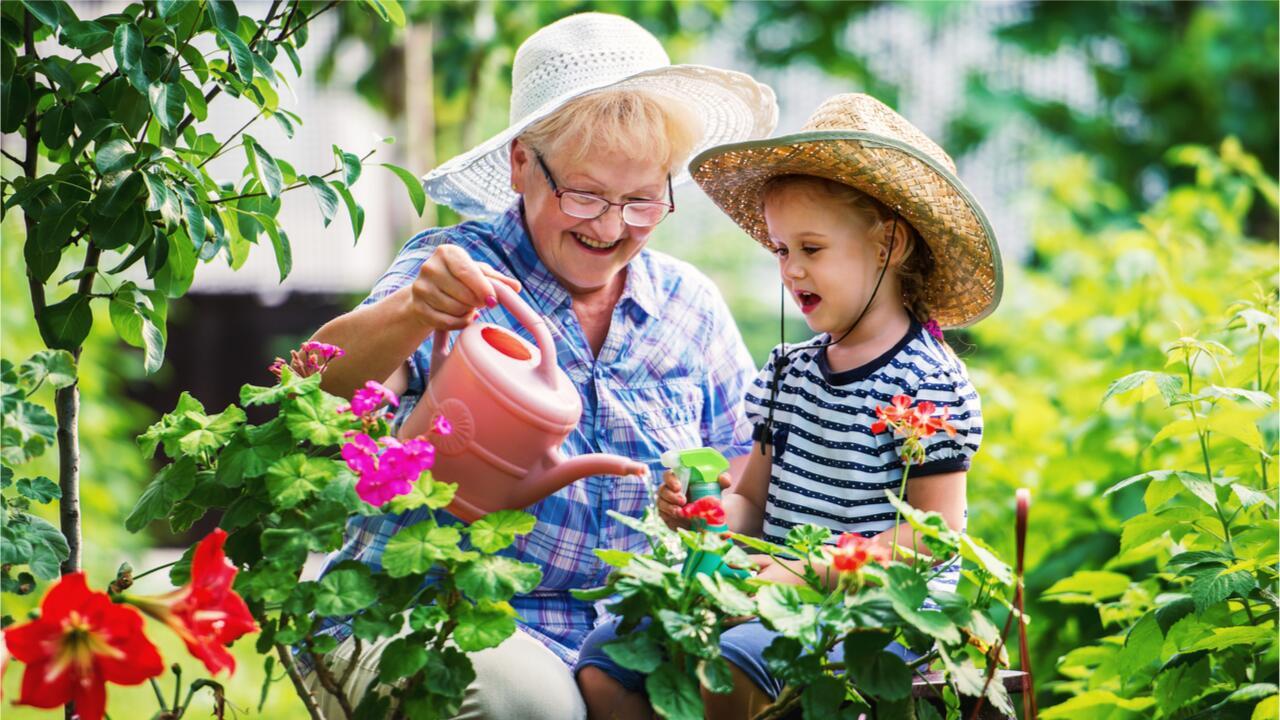 Wasser sparen im Garten: Tipps für Pflanzen und Geldbeutel