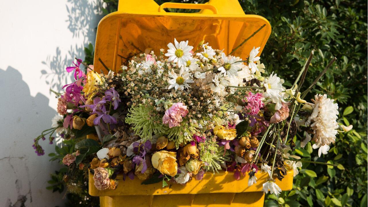 Verwelkte Blumen wegwerfen: In welchen Müll gehören eigentlich Blumensträuße?