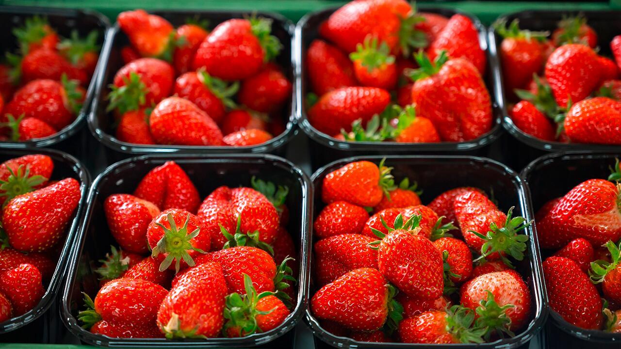 Früherdbeeren im Test: Schlecht fürs Klima und oft mit Pestiziden belastet