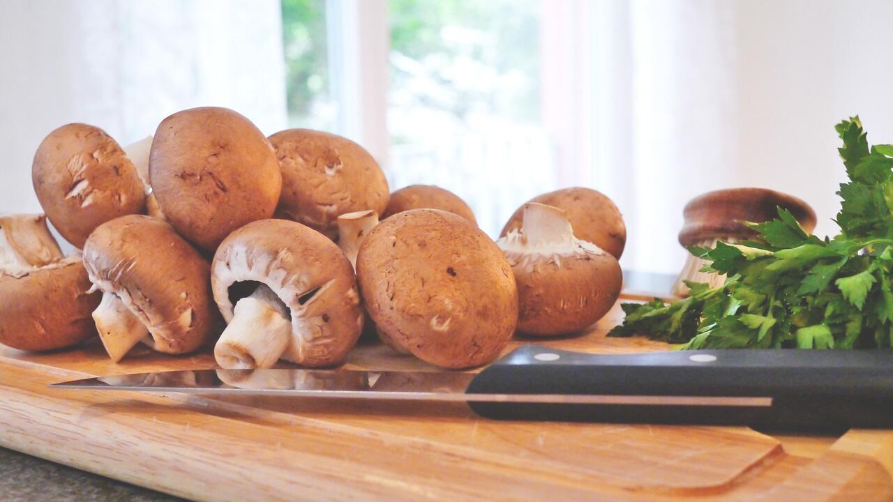 Pilze aus dem Supermarkt: 4 Anzeichen für richtig frische Pilze