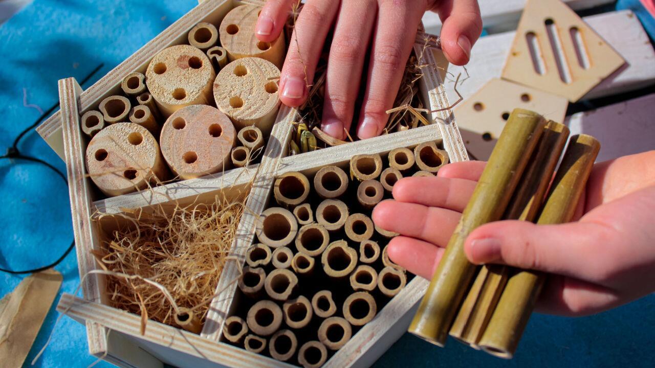Insektenhotel bauen: So schaffen Sie eine Nisthilfe für Bienen, Hummeln & Co.
