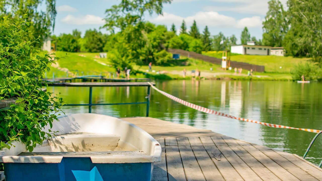 Blaualgen in Badeseen und im Meer: Wie gefährlich sind sie für Mensch und Hund?