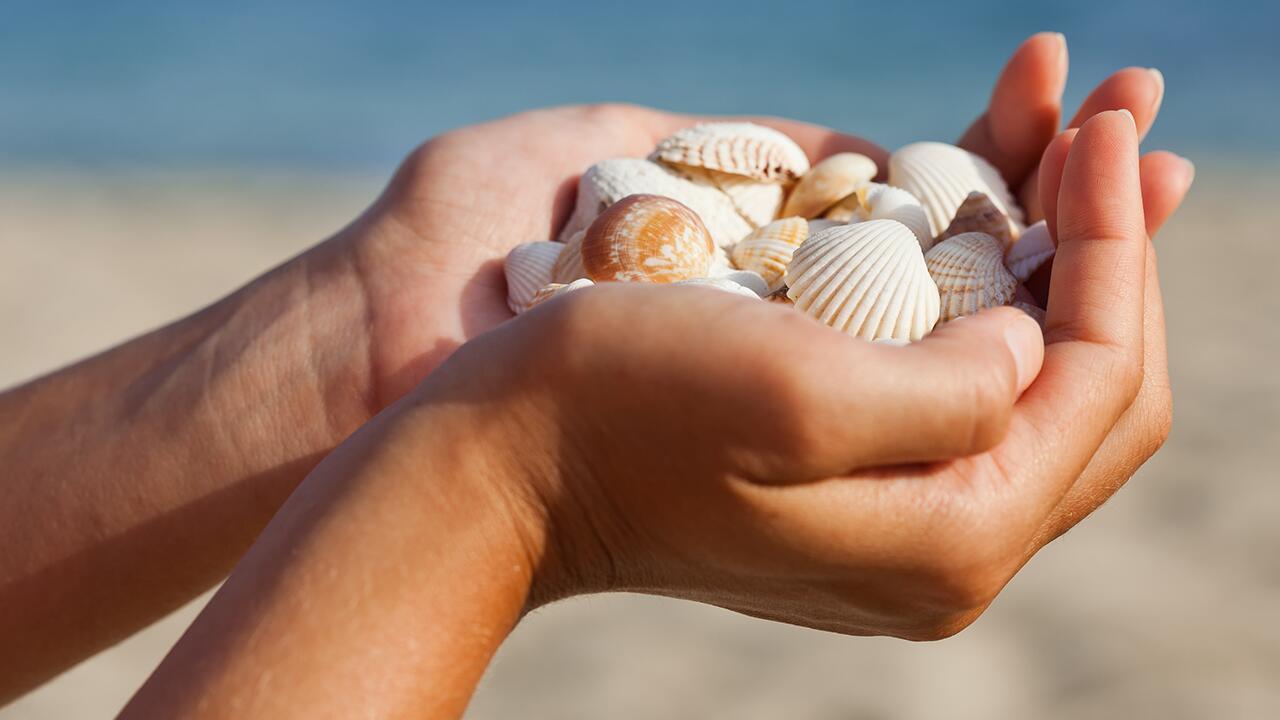 Muscheln, Sand, Steine: Was darf ich vom Strand mitnehmen – was nicht?