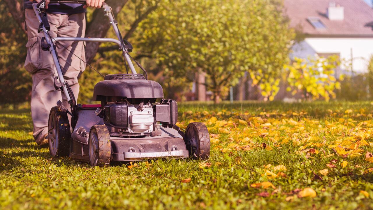 Rasenmähen im Herbst? So erkennen Sie, ob es nötig ist