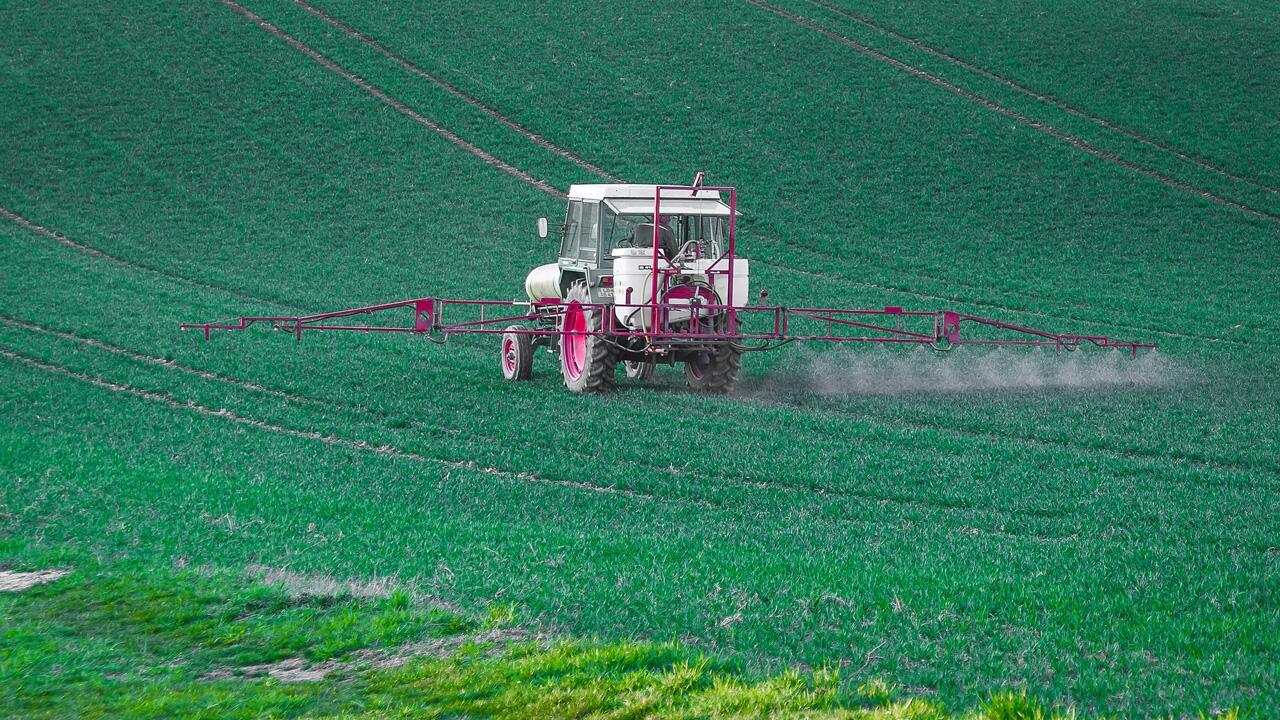 Glyphosat: Was Sie gegen das umstrittene Pestizid tun können