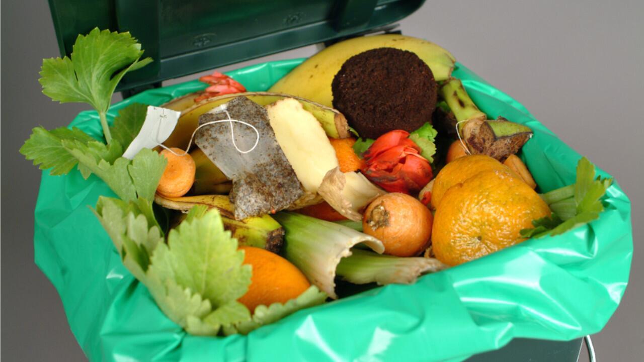 Bio-Müllbeutel: Sind sie wirklich für die Entsorgung in der Bio-Tonne geeignet?