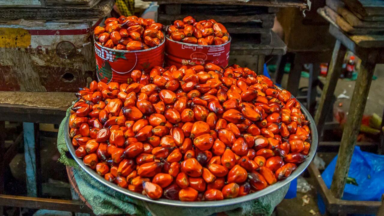 Palmöl: Warum der vielfältige Rohstoff so viele Probleme hat