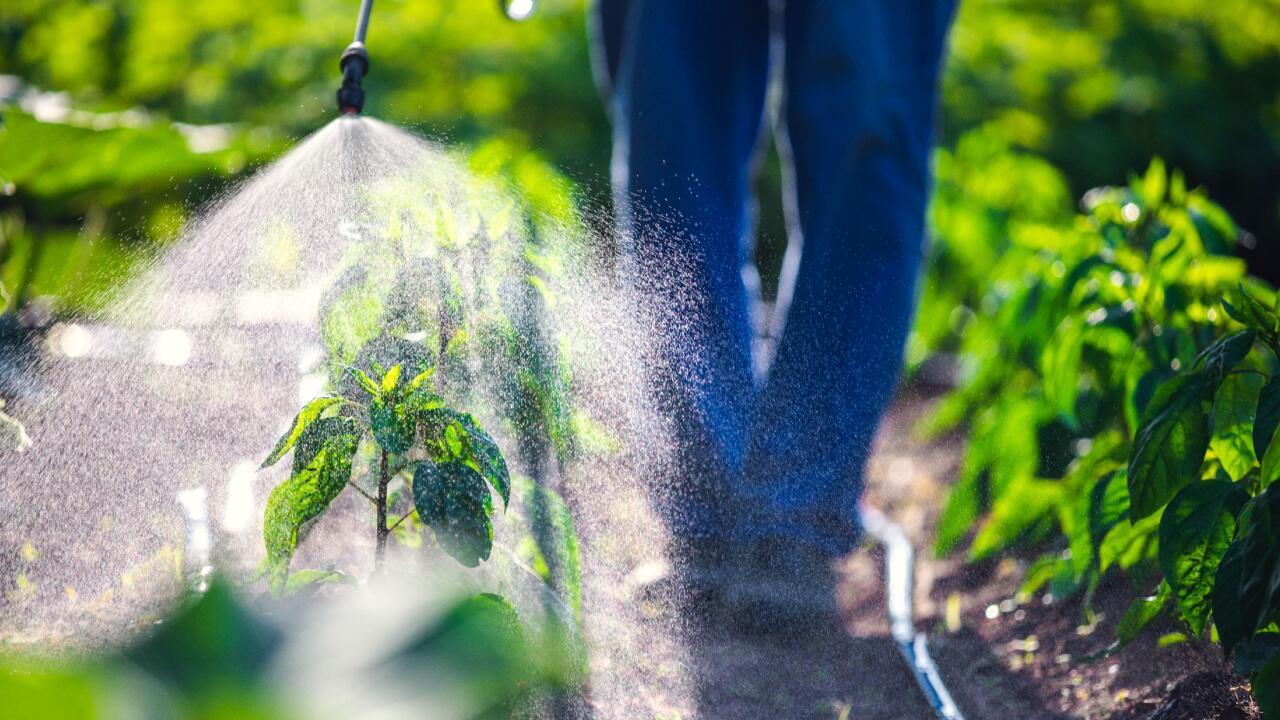 Keine Mehrheit im EU-Parlament für weniger Pestizideinsatz