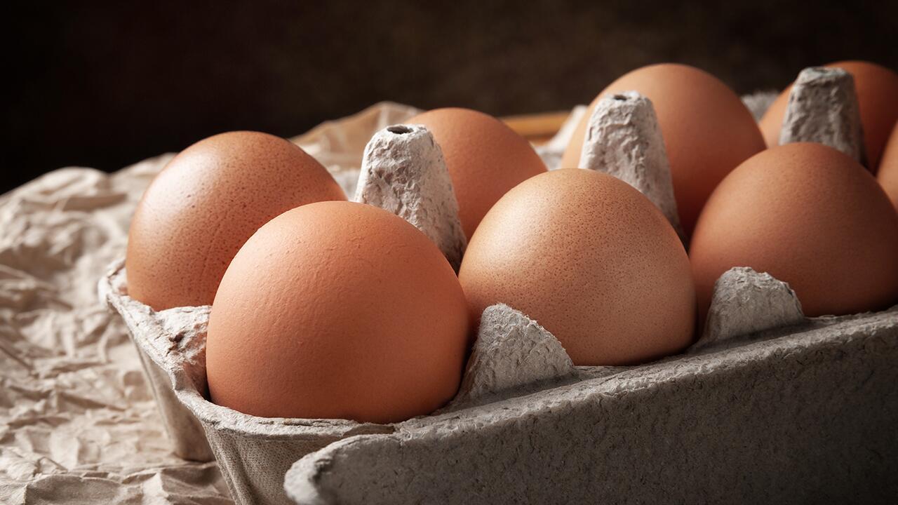 Eier im Test: Bio-Eier sind die bessere Wahl – die Gründe