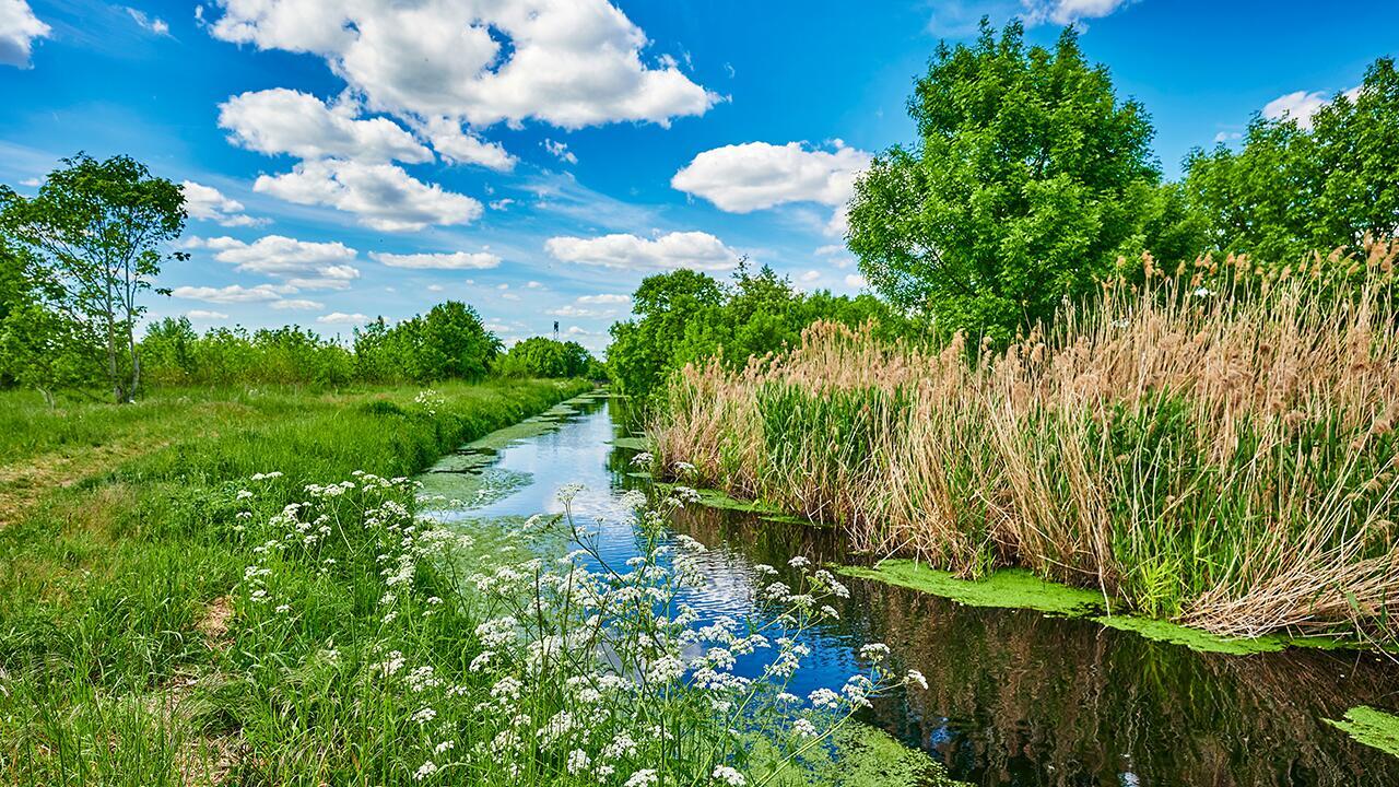 Erholung der Artenvielfalt in Flüssen stockt seit über 10 Jahren
