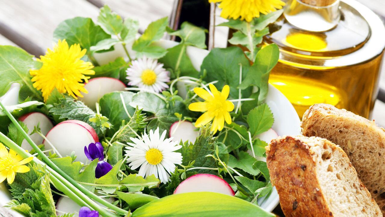 Leckere Frühlingskräuter: Wichtige Tipps zum Bestimmen, Sammeln und Zubereiten