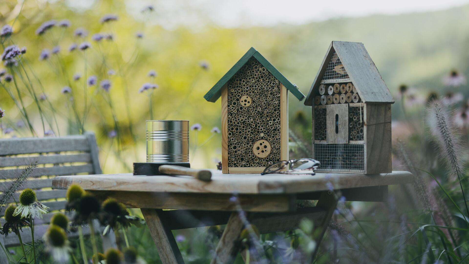 Insektenhotel bauen: So schaffen Sie eine Nisthilfe für Bienen, Hummeln & Co.