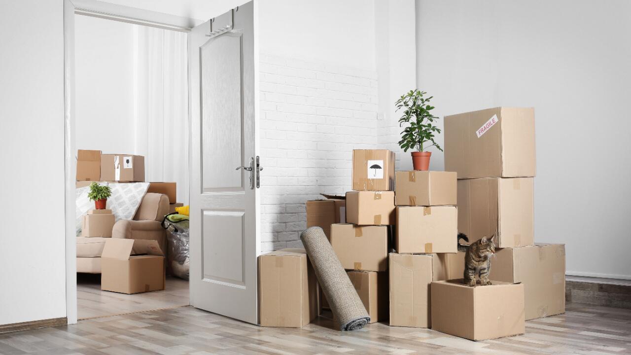 Umweltfreundlich umziehen: 7 Tipps, wie das gelingt 