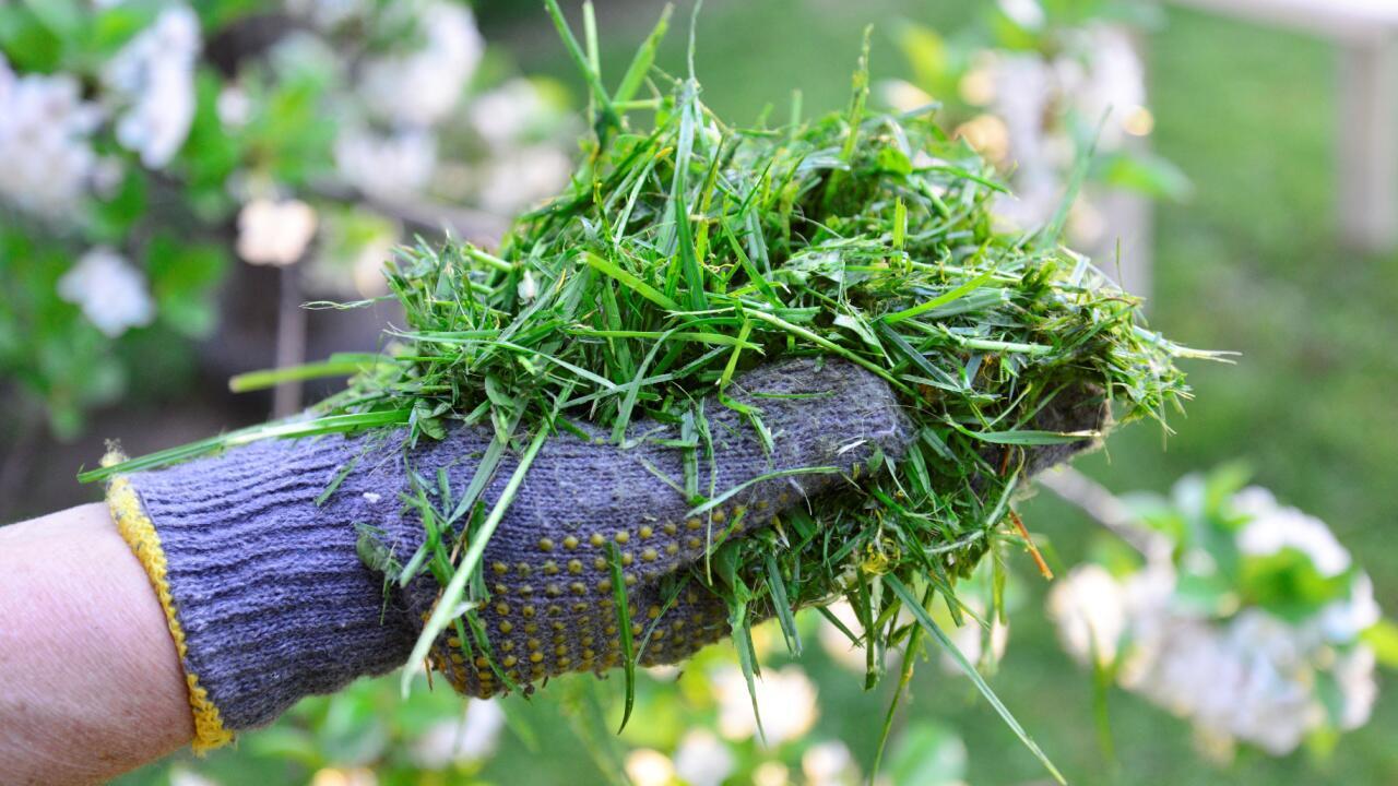 Rasenschnitt sinnvoll nutzen: Düngen, Mulchen, Kompostieren
