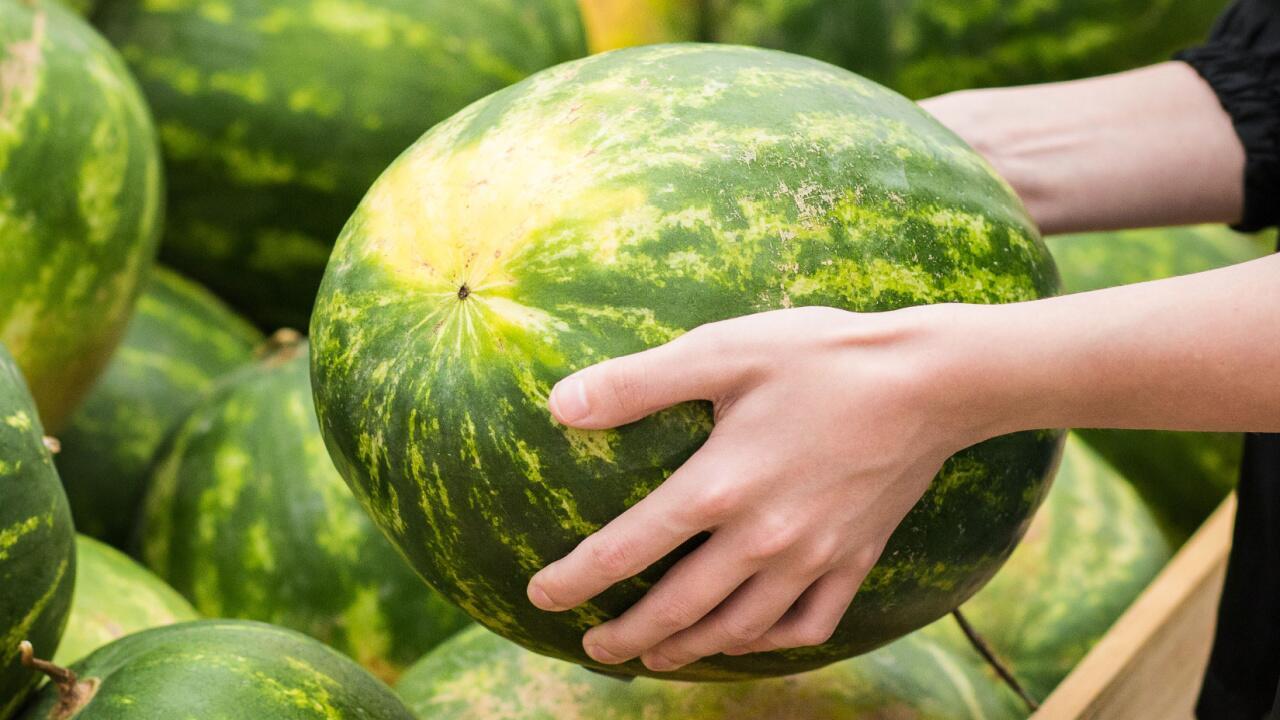 Gute Wassermelone erkennen: Hinweise auf eine reife Melone 