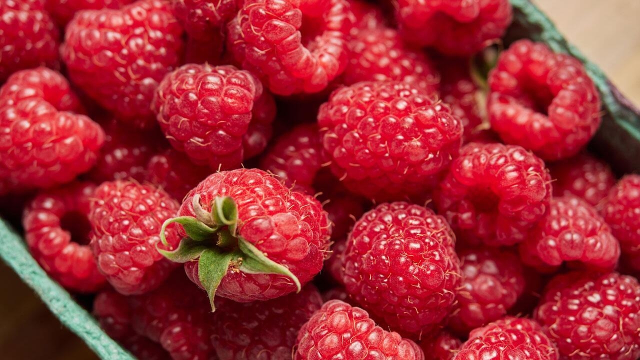 Himbeeren lagern: So bleiben die Früchte möglichst lange frisch