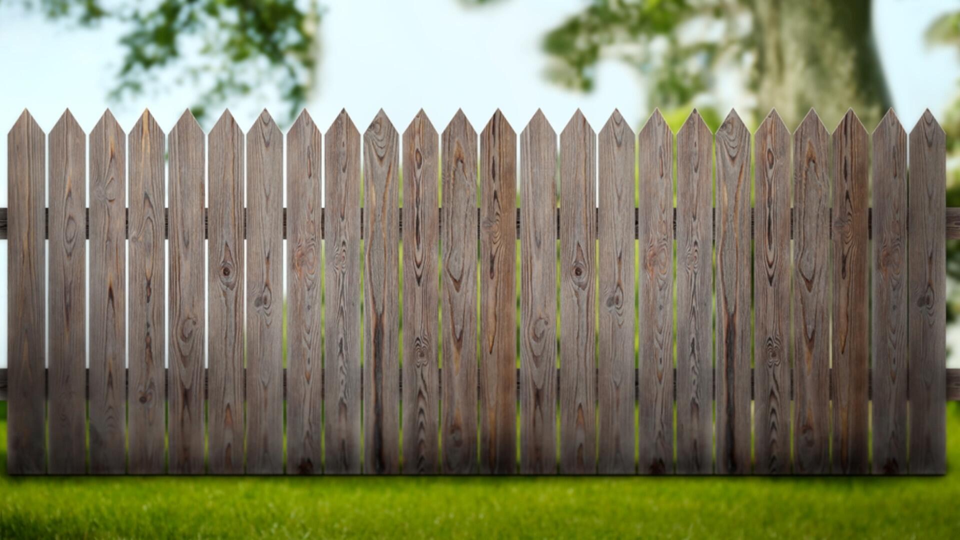 Statt Maschendraht: Tipps, wie der Gartenzaun zum Ökoparadies wird