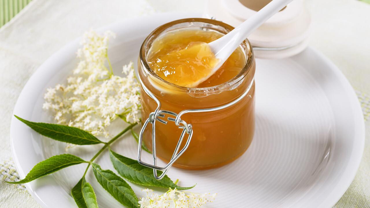 Holunderblütengelee: Ein Rezept für Sommer auf dem Brötchen Holunderblütengelee: Ein Rezept für Sommer auf dem Brötchen